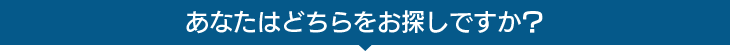 あなたはどちらをお探しですか？